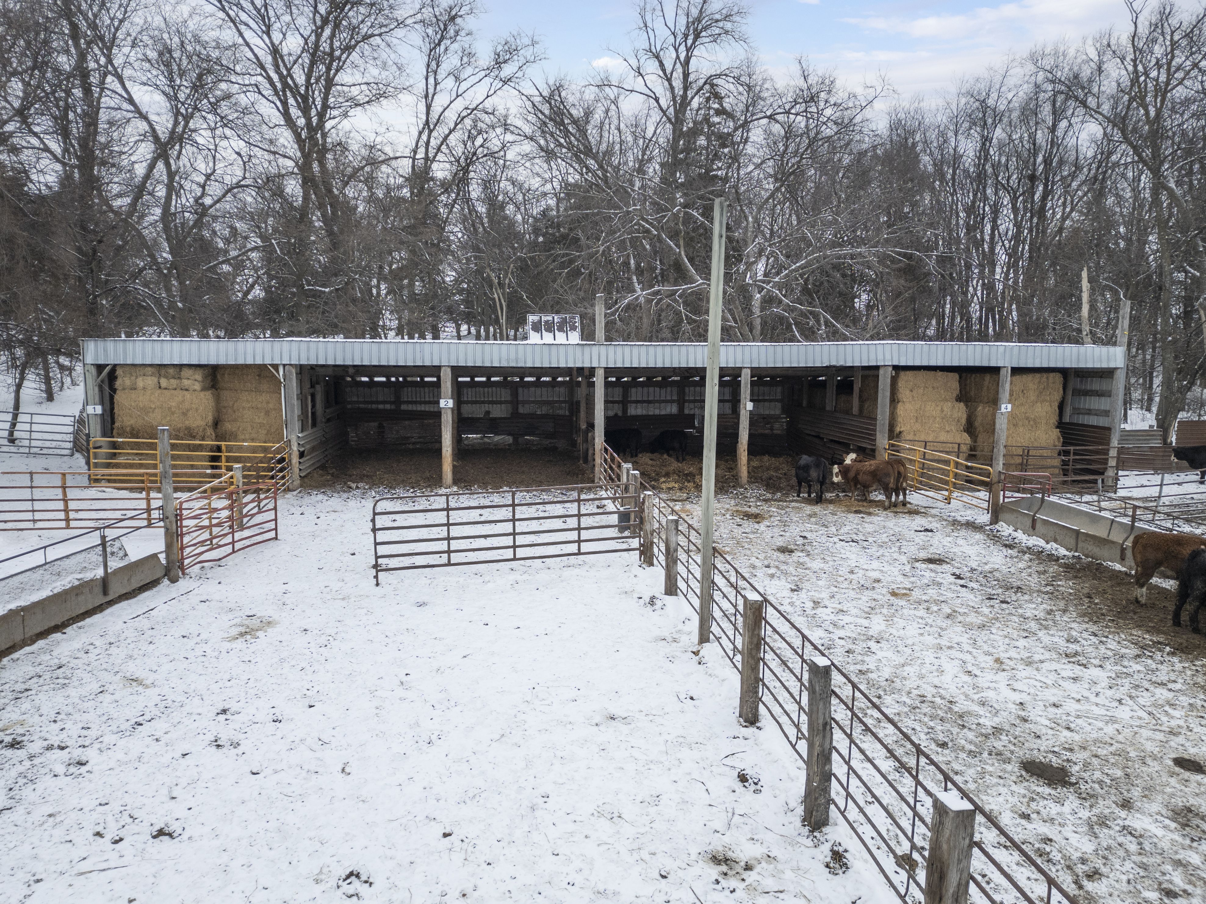 Listing Photo: 41-print-3251 Brandon Diagonal Blvd_Edits (41 of 52)